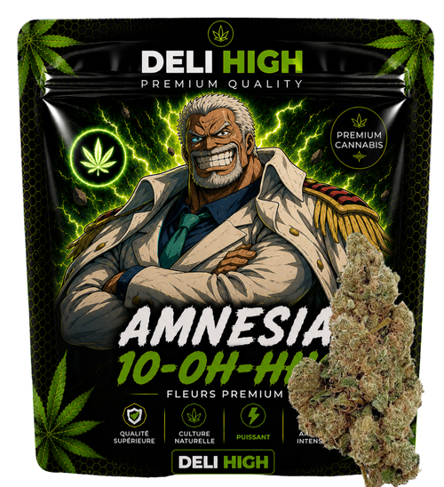 Amnesia 10-OH-HHC