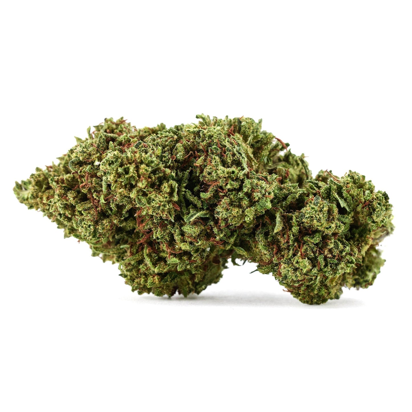 Gorilla Glue CBX
