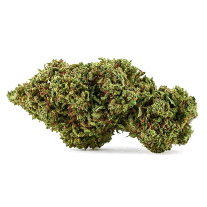 Gorilla Glue CBX