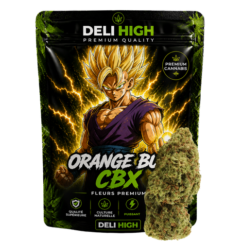 Orange Bud CBX
