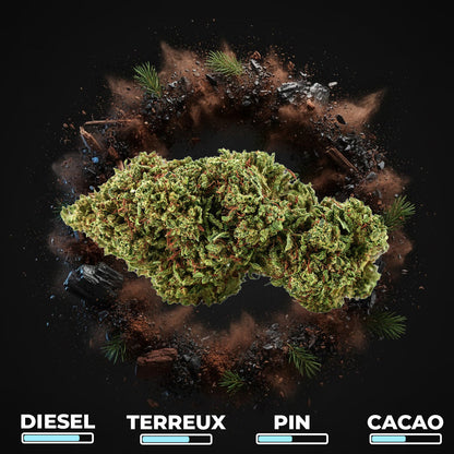 Gorilla Glue CBX