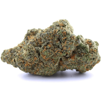 Amnesia CBX